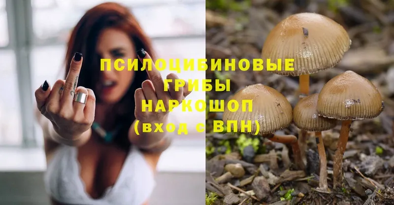 Псилоцибиновые грибы Psilocybine cubensis  нарко площадка телеграм  Артёмовск 